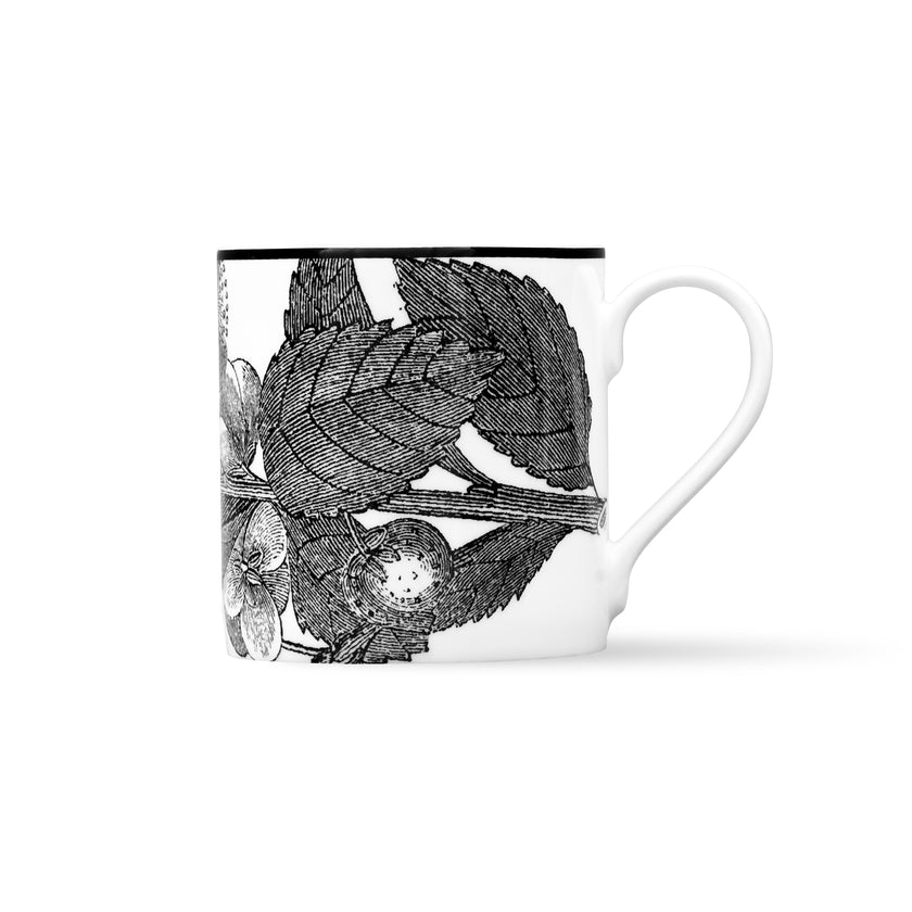 Duchess China Botanical Print No. 3